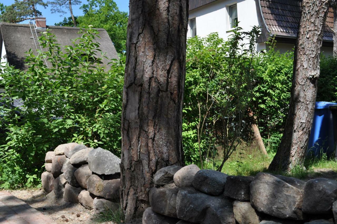 Strandvilla Waldhaus Boltenhagen  Eksteriør bilde